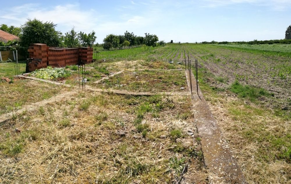 Teren intravilan casa Foeni