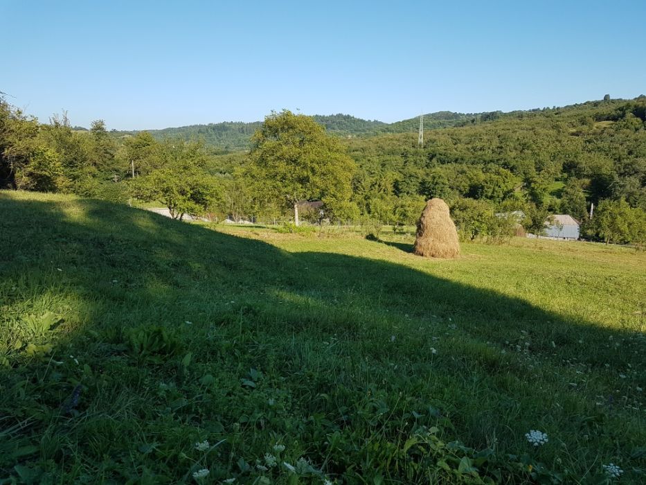 Vând teren intravilan in Câmpulung Mușcel