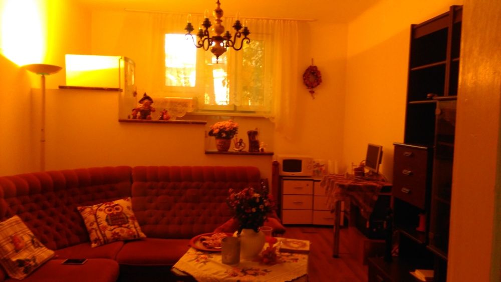 Apartament de inchiriat zona Balcescu/Apartment for rent Balcescu area