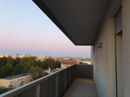 Apartment 3 rooms - for rent near the Victor Babes University of Medic