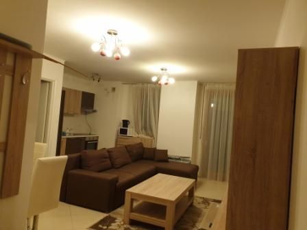 Apartment 3 rooms - for rent near the Victor Babes University of Medic