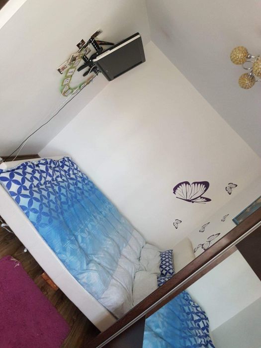 Apartament cu 3 camere Alexandru