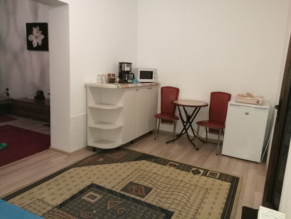 PF Apartament la casa langa bioinginerie, UMF, copou, centru