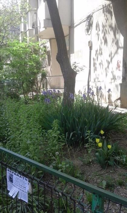 Apartament 2 camere Nerva traian