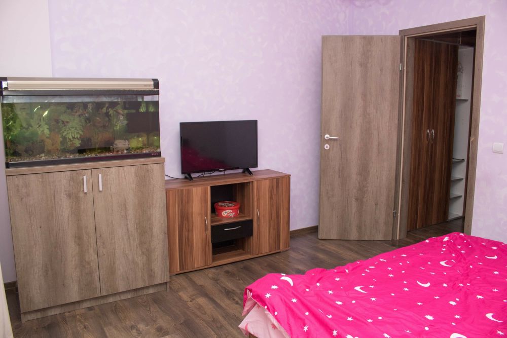 Vand apartament zona Stejarului