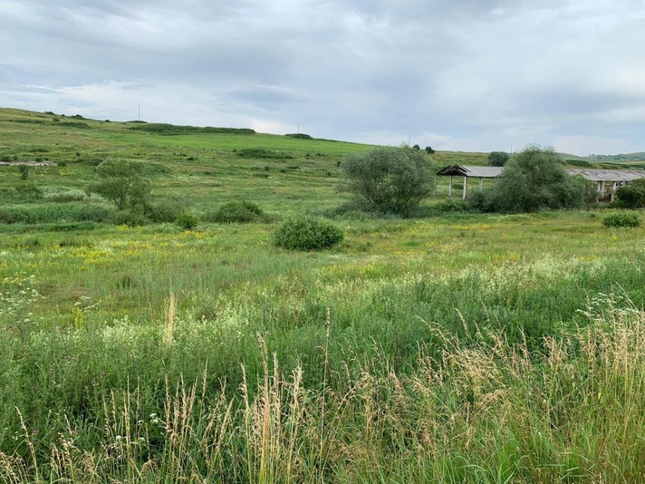 Teren de vânzare agricol/extravilan în județul Cluj